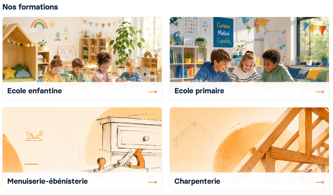 Exemple de plateforme Moodle personnalisée : catalogue des formations avec visuels et intitulés.